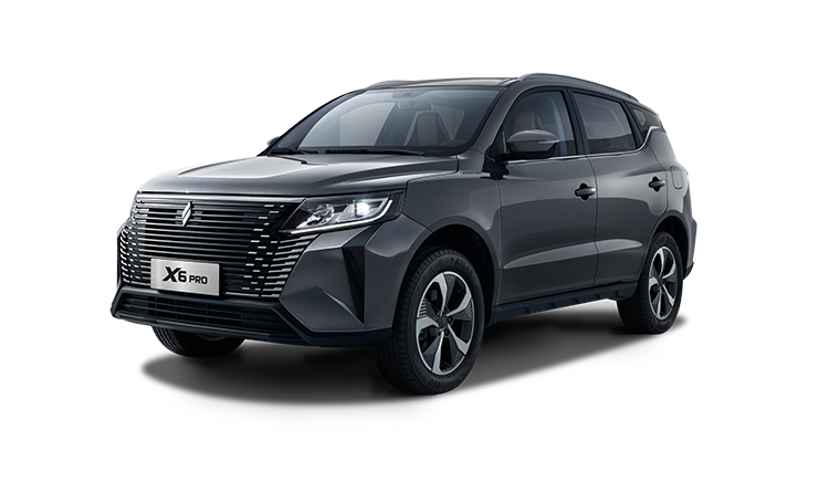 LIVAN X6PRO